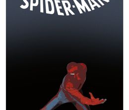 image-https://media.senscritique.com/media/000022187359/0/the_amazing_spider_man.jpg