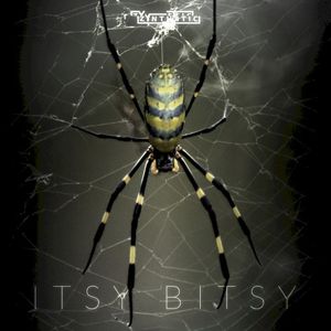 ITSY BITSY (Single)