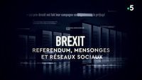 Brexit : référendum, mensonges et réseaux sociaux