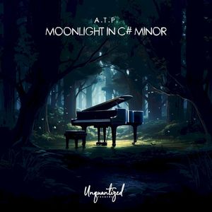 Moonlight in c♯ minor (Single)