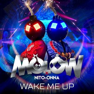 Wake Me Up (radio edit) (Single)
