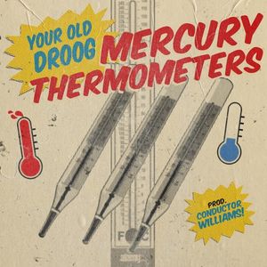 Mercury Thermometers (Single)