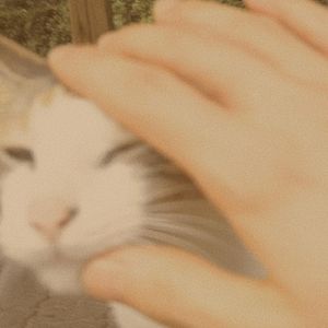 A cat who doesn’t like canned tuna