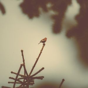 Somewhere Only You Know (Single)