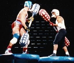 image-https://media.senscritique.com/media/000022194382/0/american_gladiators_quand_la_tele_faisait_son_cirque.jpg