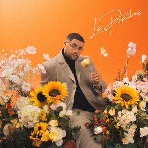 Les Papillons (Single)