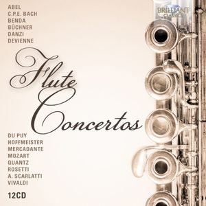 Flute Concerto in A minor, QV 5:238: I. Allegretto