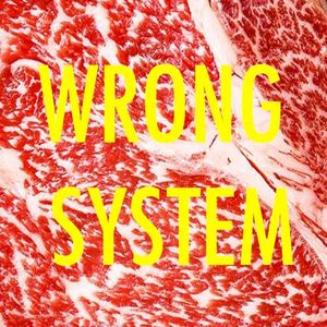 Wrong System (Single)