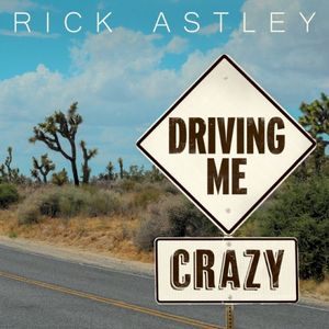 Driving Me Crazy (Single)