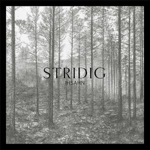 Stridig (Single)