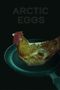 Arctic Eggs