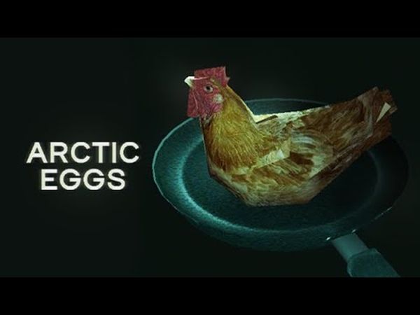 Arctic Eggs