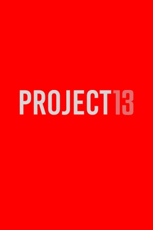 Project 13