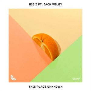 This Place Unknown (Single)