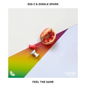 Feel The Same (Single)