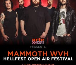 image-https://media.senscritique.com/media/000022209725/0/mammoth_wvh_hellfest_2024.jpg