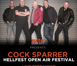 image-https://media.senscritique.com/media/000022209739/0/cock_sparrer_hellfest_2024.jpg