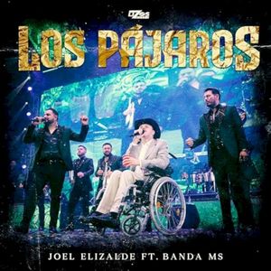 Los pájaros (Single)