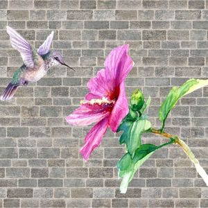 Hummingbird (Single)