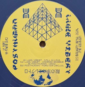 Unitary Covert Sonic Procedures IV (EP)