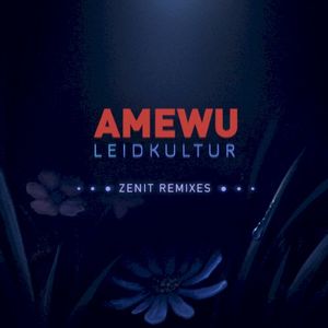 Leidkultur - Zenit Remixes