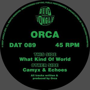 What Kind of World / Camyx / Echoes (EP)