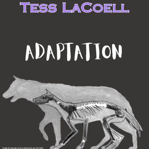 Adaptation (Single)