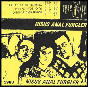 Nisus Anal Furgler