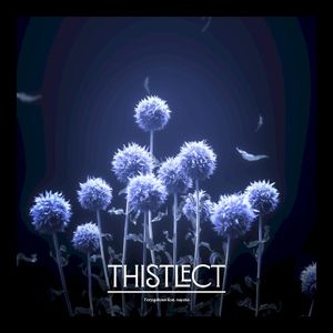 Thistlect (Single)