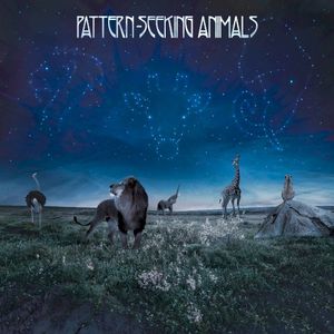 Pattern‐Seeking Animals