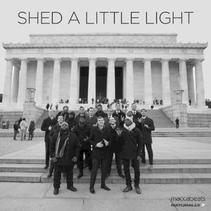 Shed a Little Light (Single)