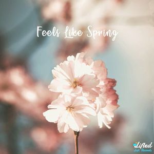 Feels Like Spring (Single)