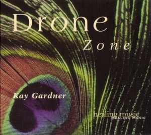 Drone Zone