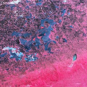 Tellicherry (Single)