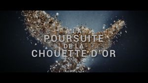 À la poursuite de la chouette d’or