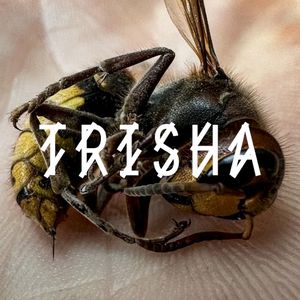 TRISHA (Single)