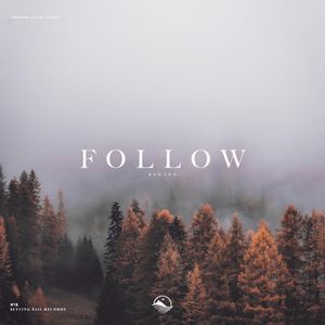 Follow (Single)