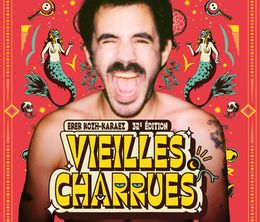 image-https://media.senscritique.com/media/000022227330/0/zaoui_en_concert_aux_vieilles_charrues_2024.jpg