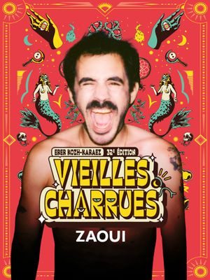 Zaoui en concert aux Vieilles Charrues 2024