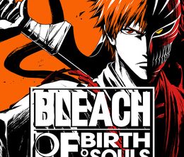 image-https://media.senscritique.com/media/000022227479/0/bleach_rebirth_of_souls.jpg