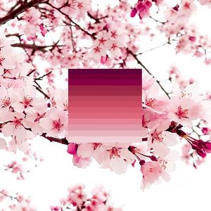 Science (Sakura Variations) (Single)