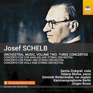 Orchestral Music, Volume Two: Three Concertos