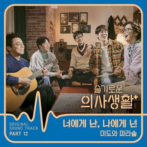 슬기로운 의사생활 OST Part 12 (OST)