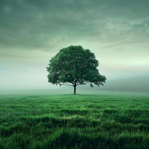 An hour for sleep 0005