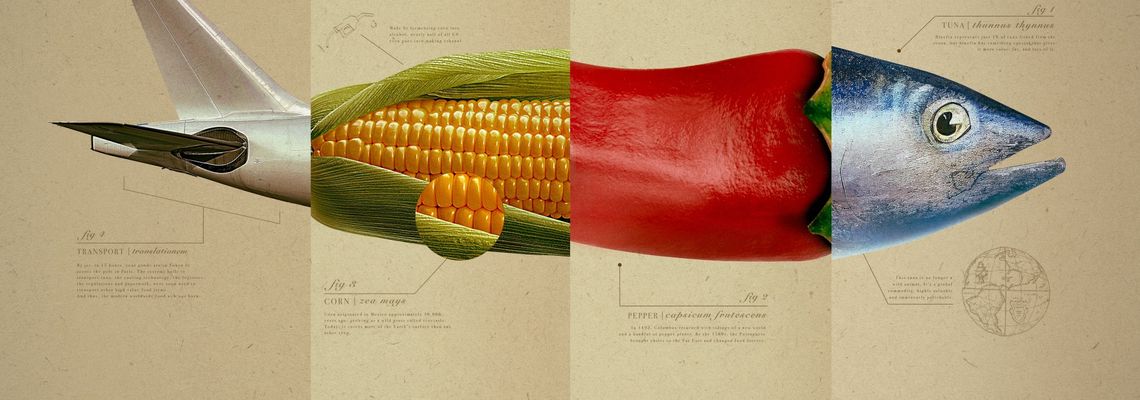 Cover Omnivores : le parcours de l'alimentation