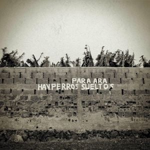 hay perros sueltos (Single)