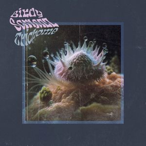 Trichome (Single)