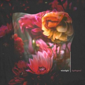 Winelight (Single)
