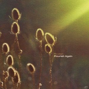 Flourish Again (EP)