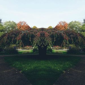 Stroll (Single)